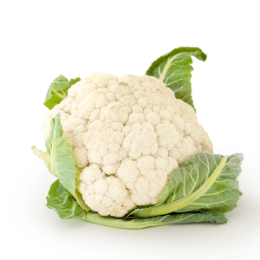 A head of cauliflower, a real food, on a white background.