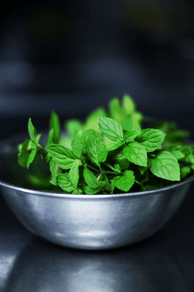 mint for digestive health recommended by nutritionist